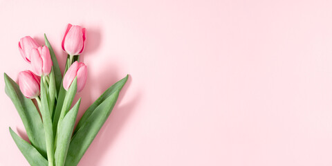 Beautiful floral background border of pink tulips on a soft pink background, Easter, Mother's Day, March 8, Banner.