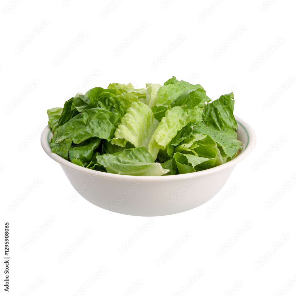 Fresh green lettuce leaves, white ceramic bowl, crisp salad ingredients, vibrant vegetable photography, clean eating, healthy food styling, bright natural lighting, minimalist composition, organic Fresh green lettuce leaves, white ceramic bowl, crisp salad ingredients, vibrant vegetable photography, clean eating, healthy food styling, bright natural lighting, minimalist composition, organic