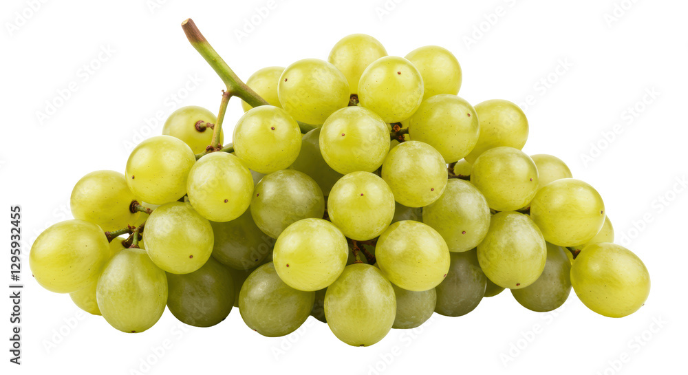 Isolated Bunch of Green Grapes, Fresh and Juicy Isolated Bunch of Green Grapes, Fresh and Juicy
