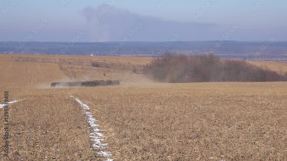 Bison breeding. Herd of Bison. Maintaining a population of bison in the open environment. Buffalo farming. Free range bison population. Bison breeding. Herd of Bison. Maintaining a population of bison in the open environment. Buffalo farming. Free range bison population.