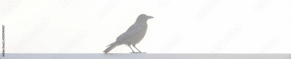 Crow silhouette against stark white background with subtle gradient, crow, urban landscape, bird silhouette Crow silhouette against stark white background with subtle gradient, crow, urban landscape, bird silhouette