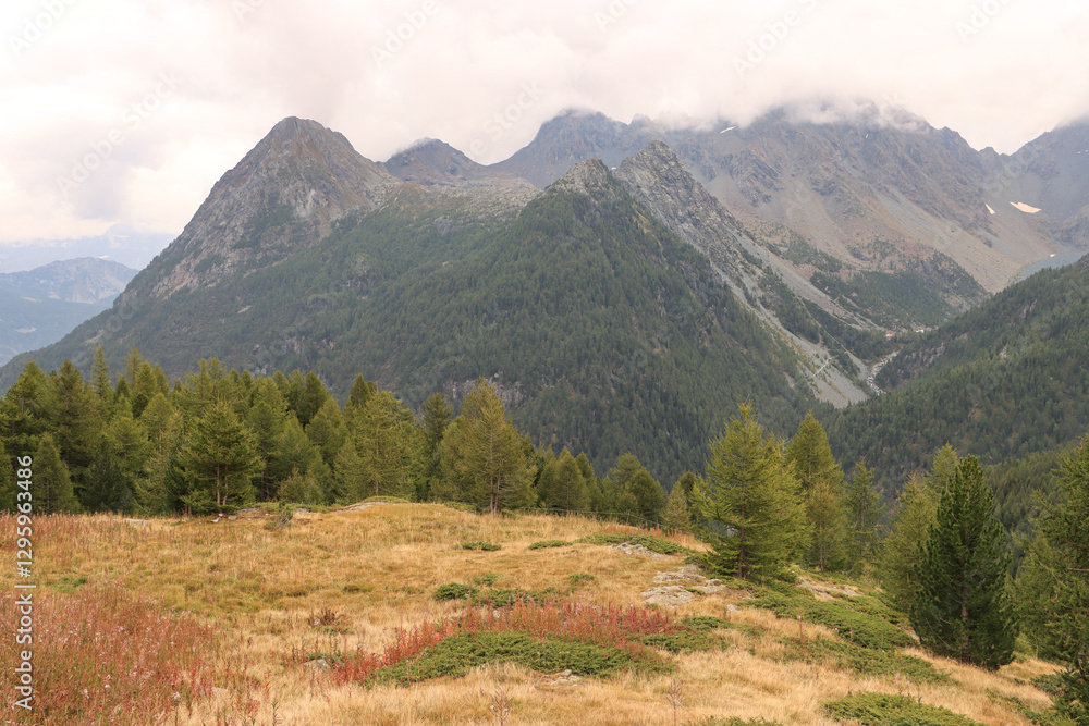 Verregnetes Valmalenco; Blick von der Alpe Sissone über das Tal nach Osten