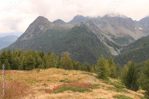 Obraz na płótnie Verregnetes Valmalenco; Blick von der Alpe Sissone über das Tal nach Osten w salonie