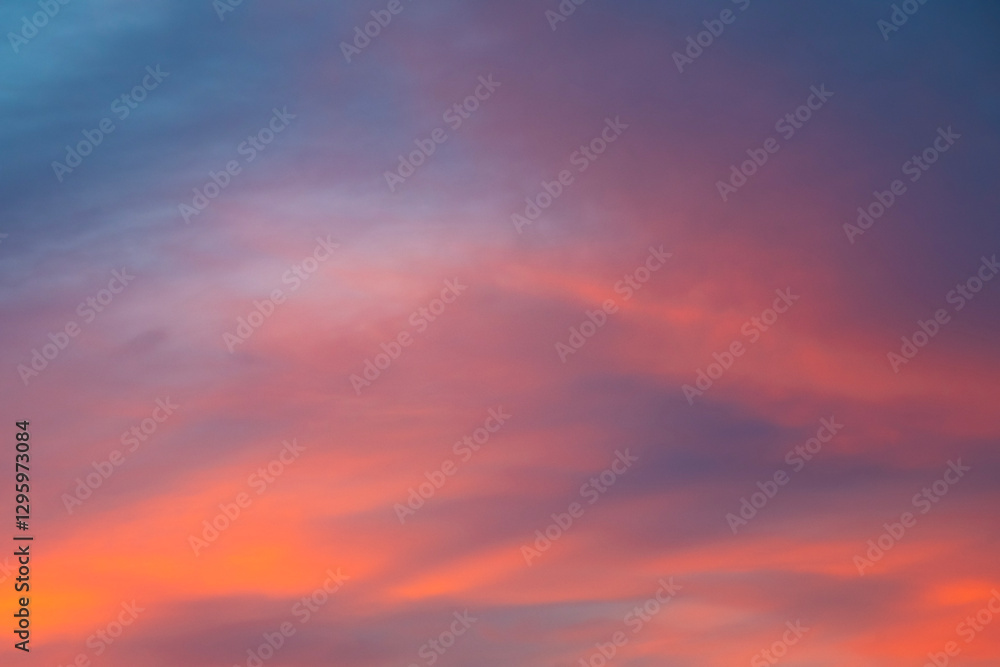 Fototapeta premium Nice twilight sky and could