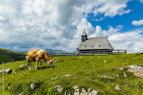 Velika Planina, Kamnik, Slovenia. Lord of the Rings style village. Wooden typical houses, hills, green meadows, flowers where cows and calfs graze. High quality artisanal milk and cheeses. Holiday.