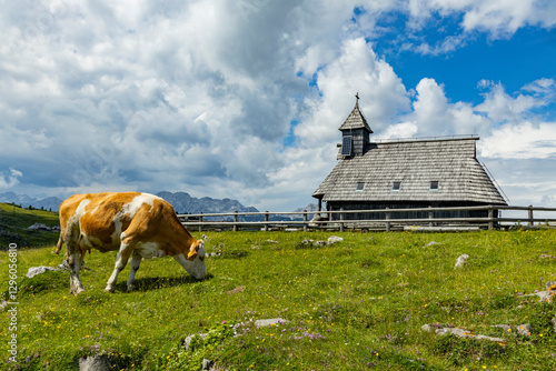 Velika Planina, Kamnik, Slovenia. Lord of the Rings style village. Wooden typical houses, hills, green meadows, flowers where cows and calfs graze. High quality artisanal milk and cheeses. Holiday.