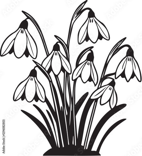An elegant, hand-drawn black and white line artwork of delicate snowdrop flowers