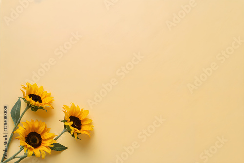 Topview flatlay yellow image with sunflowers