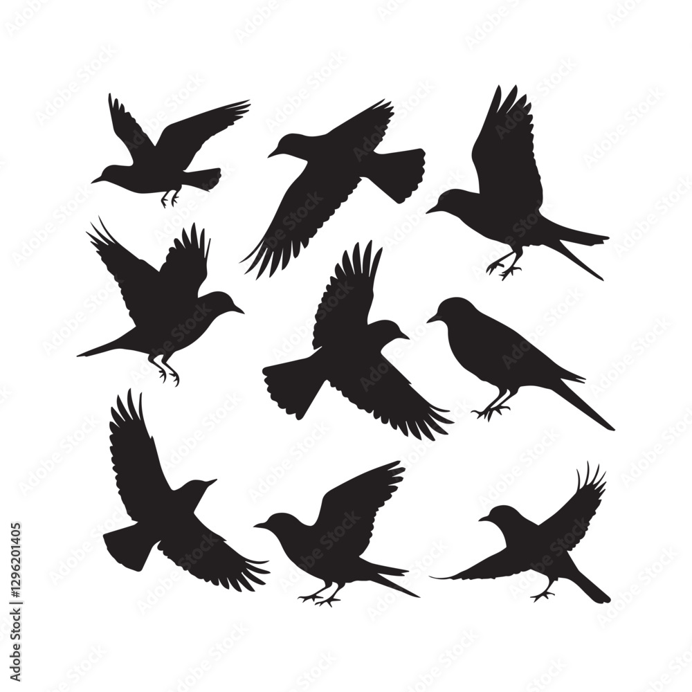 Fototapeta premium Bird silhouette vector illustration, perfect for logo design, art projects, and graphic design. Diverse positions, flying, perching white Background.