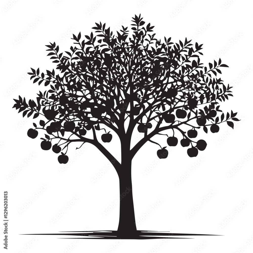 Obraz premium Black and white apple tree silhouette white Background