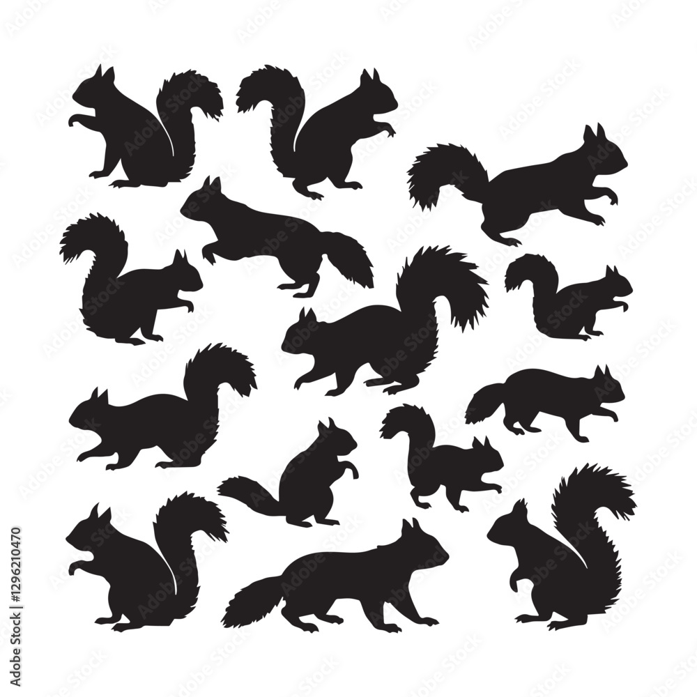 Obraz premium Squirrel silhouettes set, large pack of vector silhouette design, isolated white background white Background.