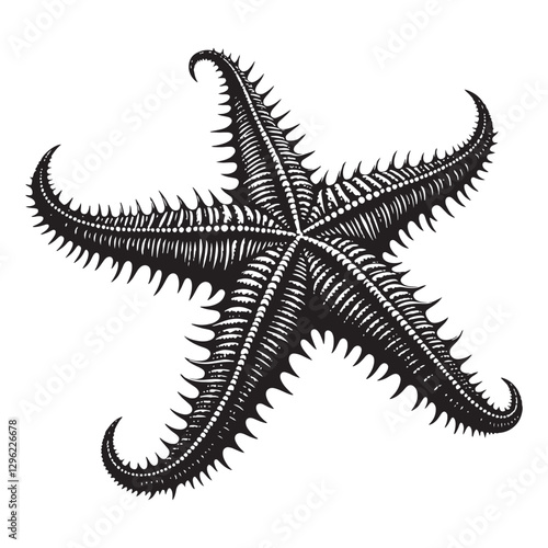 Breathtaking Starfish silhouette, capturing oceanic charm - Starfish illustration - Minimalist Starfish vector - Fish silhouette
