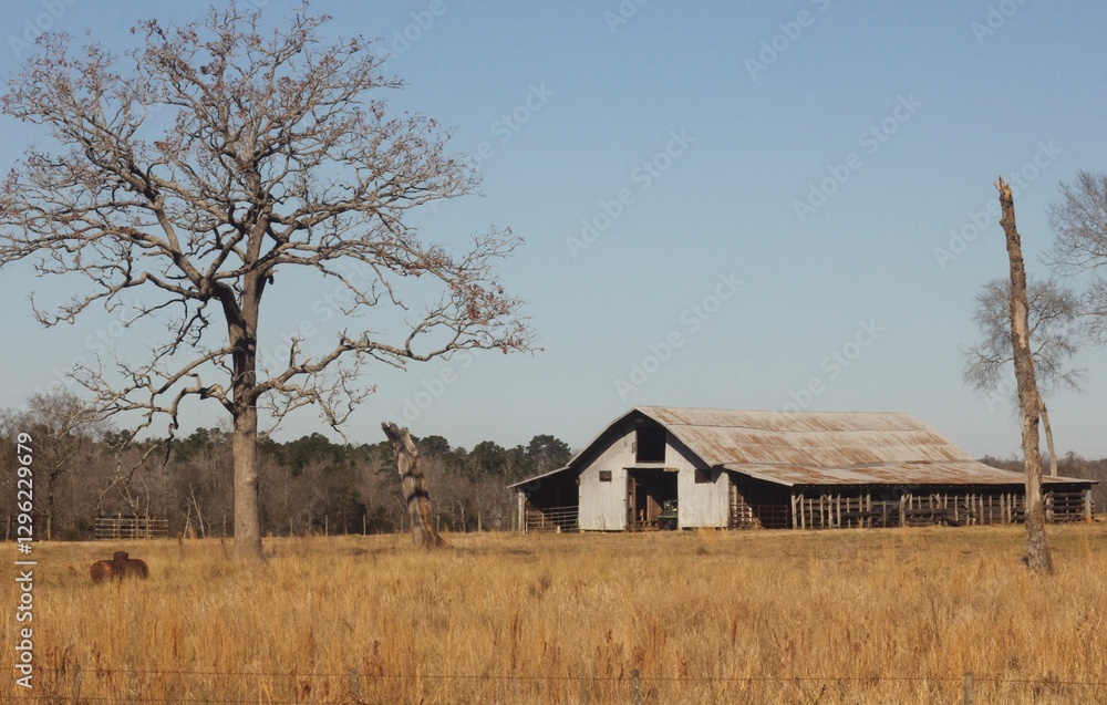 Abandoned Barn Near Alto Texas. Rural East Texas Abandoned Barn Near Alto Texas. Rural East Texas