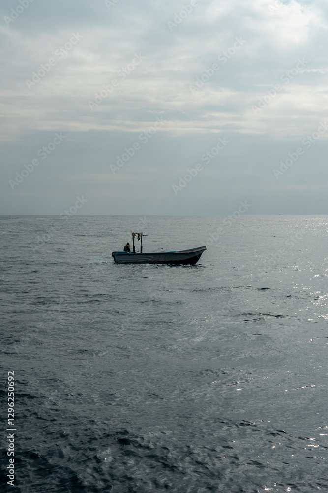 In Sri Lanka, there are tours that allow you to see wild whales in the Indian Ocean. In Sri Lanka, there are tours that allow you to see wild whales in the Indian Ocean.