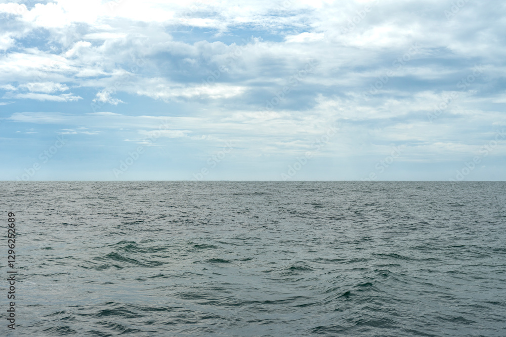 Obraz premium In Sri Lanka, there are tours that allow you to see wild whales in the Indian Ocean.