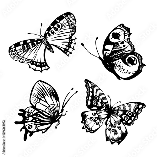 Hand drawn sketch butterfly set. Vector illustration