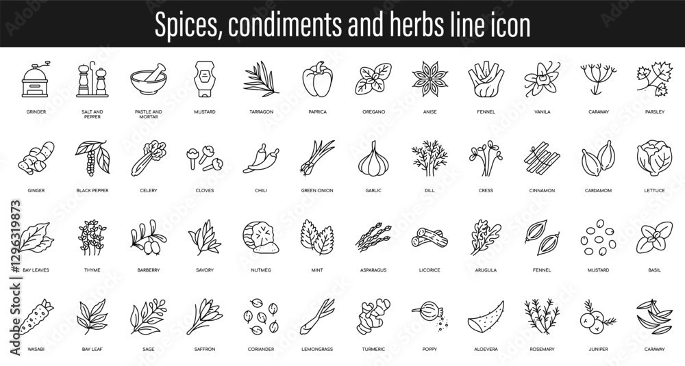 Fototapeta premium Spices, condiments and herbs vector line icon