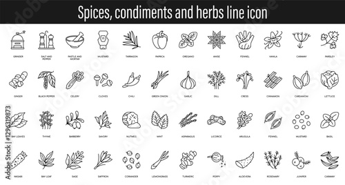 Spices, condiments and herbs vector line icon