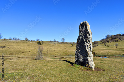 Menhir of Akarte in the mea...
