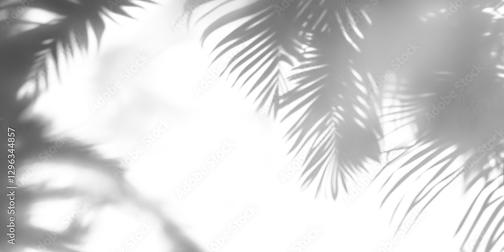 Naklejka premium Soft shadows of palm tree leaves isolated on a transparent background