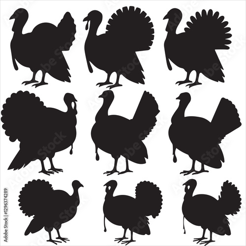 set vector various turkey, thanksgiving turkey silhouette	
