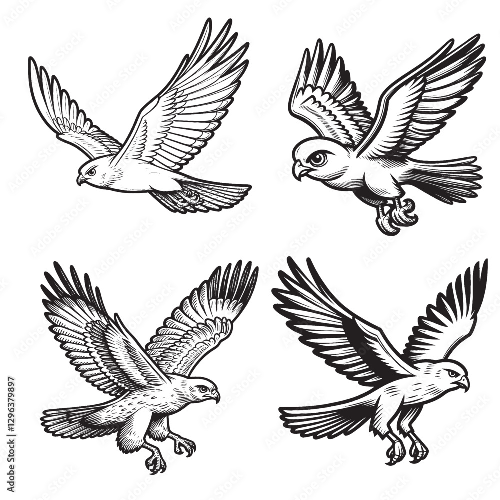 Fototapeta premium Detailed Cute Harrier Cartoon Outline Vector Silhouettes in Flying Pose