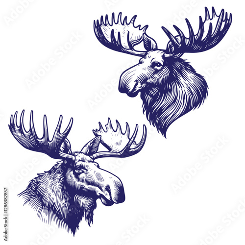 Detailed Moose Face Sketch Logo
