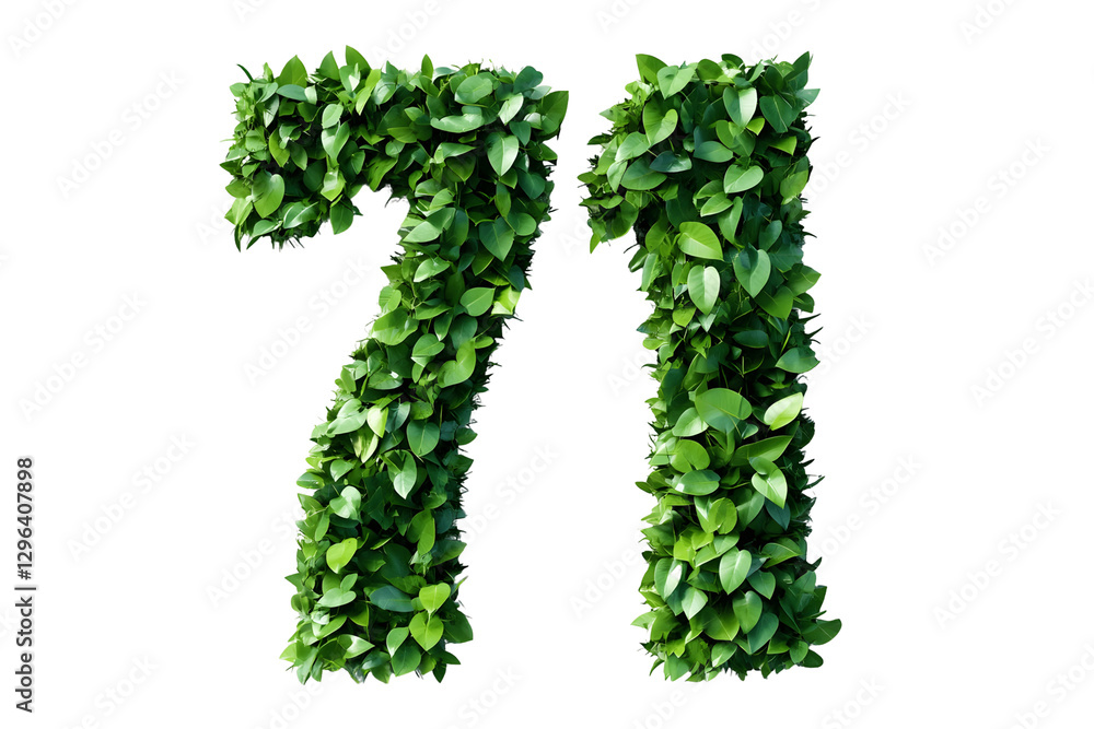 Leaves Form Number Seventy-One, Transparent Background Leaves Form Number Seventy-One, Transparent Background