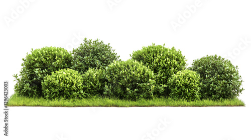 Green garden bushes cut out