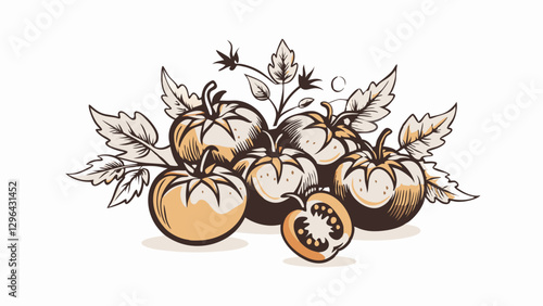 Illustration of ripe tomatoes with leaves, freshness and harvest