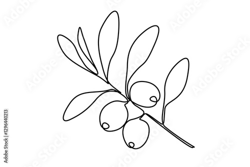 Olive branch in One continuous line drawing. Leaf tree with berry for banner or logo vegan healthy oil in simple linear style. Editable stroke. Doodle outline vector illustration