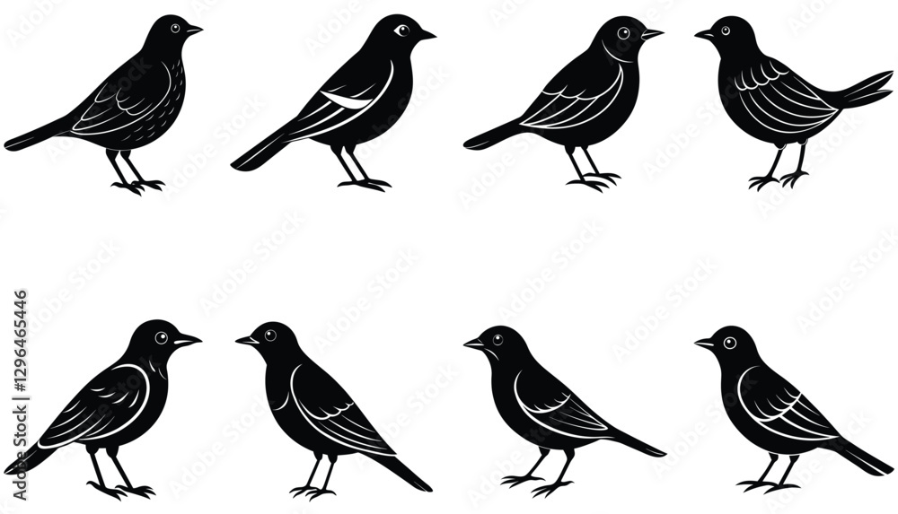 Bird vector shilhouette bundle set icon Bird vector shilhouette bundle set icon
