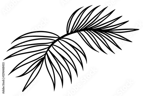 Detailed Line Art of Palm Leaves for Luxury Design

