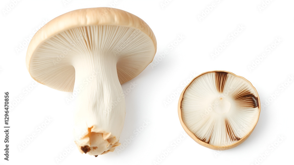 Fototapeta premium Two fresh mushrooms champignons, one whole and the other cut in half isolated on white background with clipping path