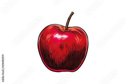 hand drawn red apple illustration