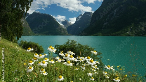 Vestland-12