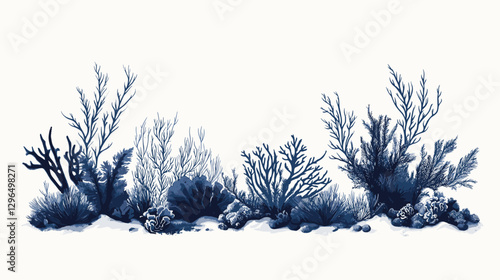 Corals and seaweed. Vector Hand Drawn Coral Sketch Botanical Illustration. Underwater flora, sea plants. Line art clipart. Vintage pink and blue marine plants isolated on a white background
