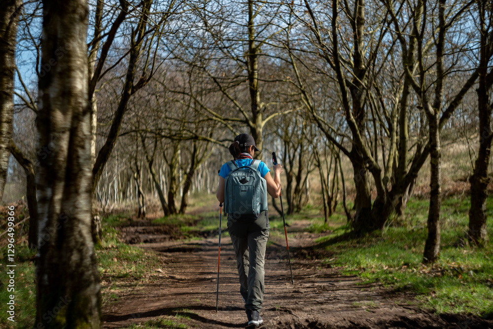Obraz premium Hiker walks along a tree-lined path holding two hiking poles.