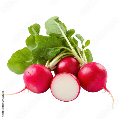radish isolated on white