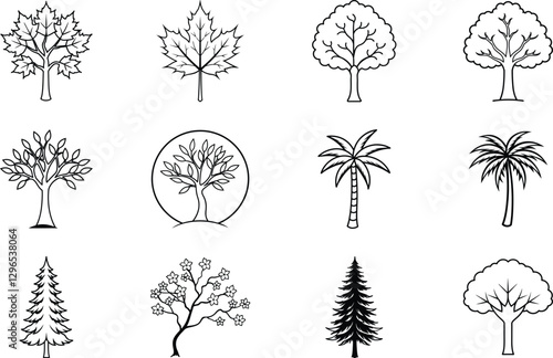 Simple Line Drawings of Various Tree Types and Species