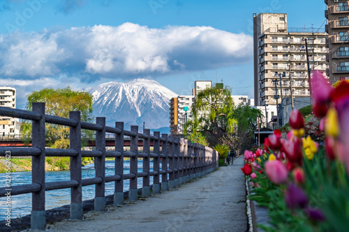 Buildings and promenade and riverside walkway and flower gardens at Katakami riverflowing through the middle of Morioka city, Iwate Cityscape  with Iwate Mount Background scene.