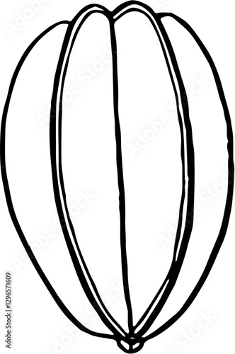 Fruit. Hand drawn vector isolated sketch. Carambola, star fruit