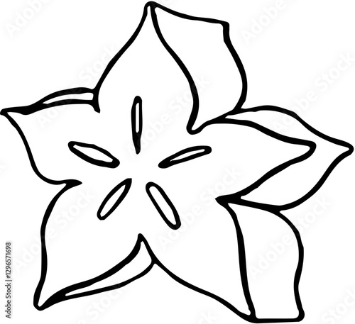 Fruit. Hand drawn vector isolated sketch. Carambola, star fruit