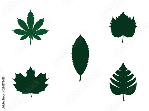 set of Beautiful leaves