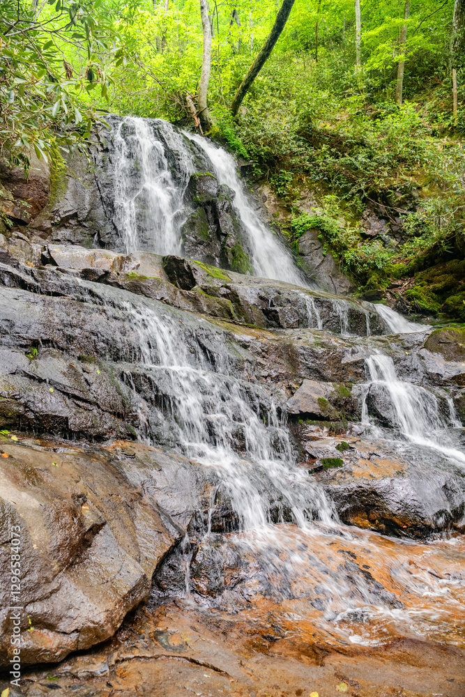 Fototapeta premium waterfall among rocks in a forest in Virginia.