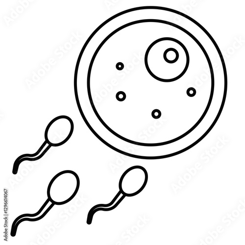 ovum