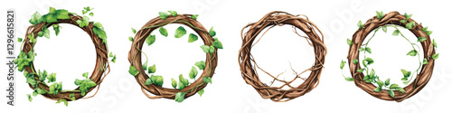 Set circular shape watercolor frames borders with green ivy leaves creeper root isolated on transparent background