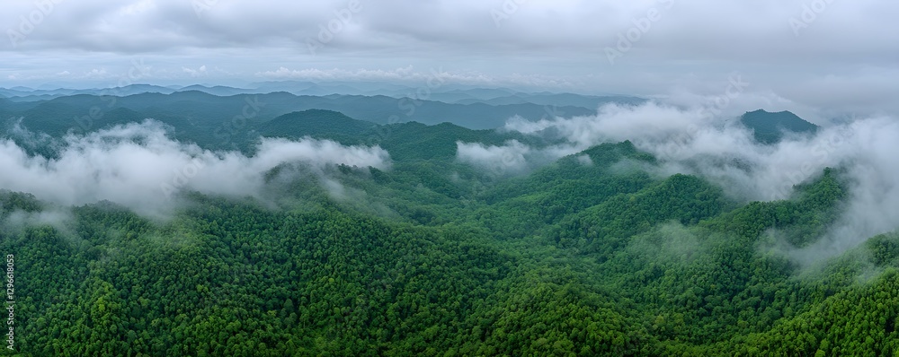 Verdant mountain landscape shrouded in ethereal mist and clouds Verdant mountain landscape shrouded in ethereal mist and clouds