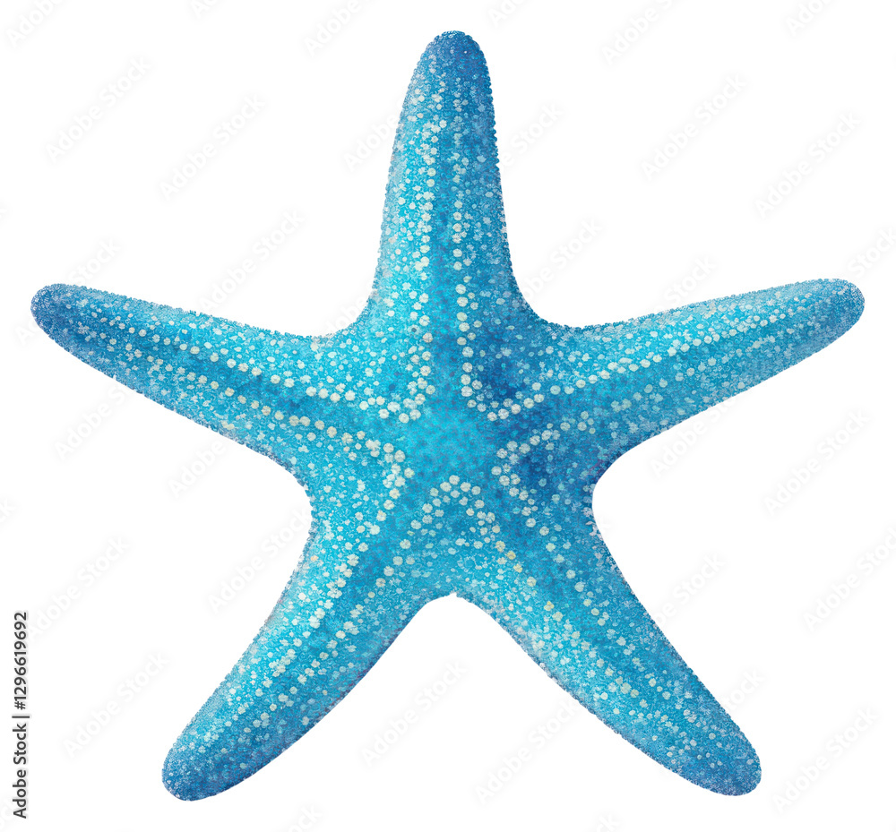 PNG Starfish icon shape blue PNG Starfish icon shape blue