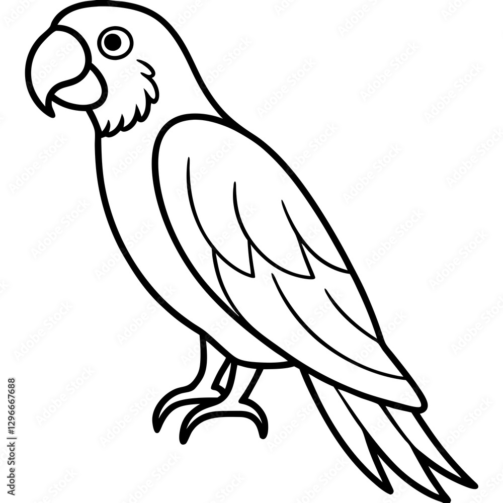 Macaw Line Art Vector Design Macaw Line Art Vector Design